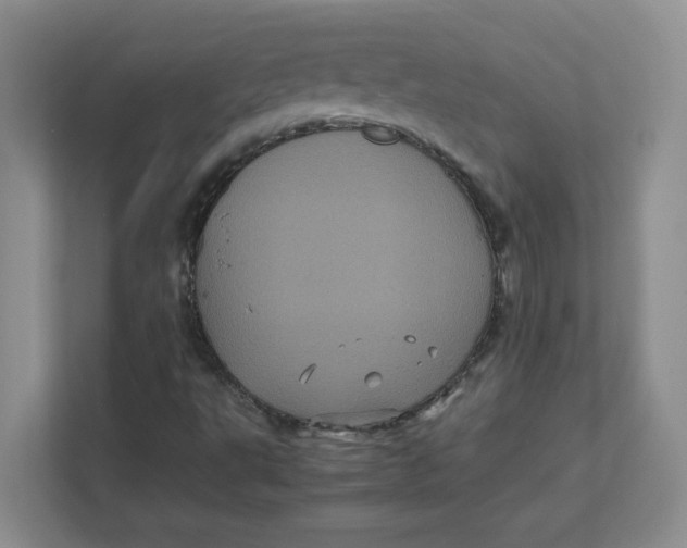 X0000111471495200908031349