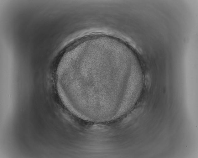 X0000111471496200908031349