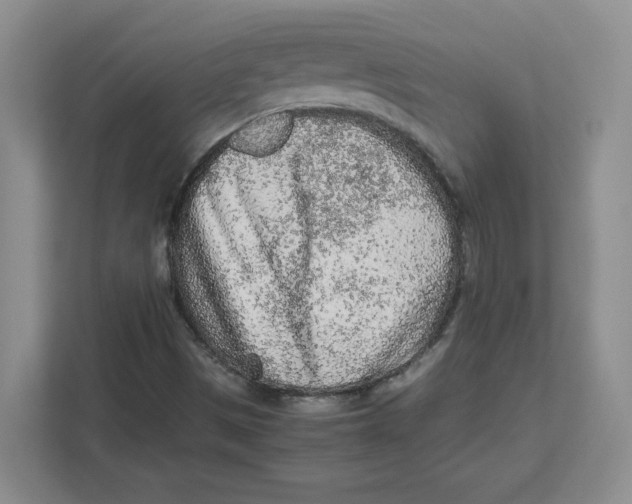 X0000111471497200908031349