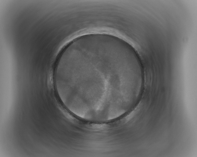 X0000111471498200908031349