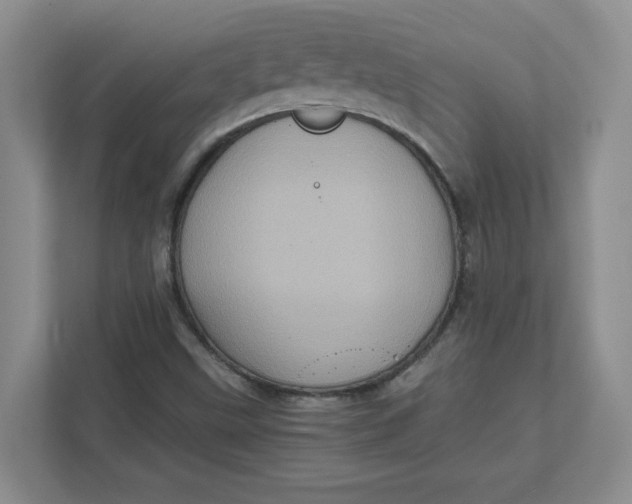 X0000111471499200908031349