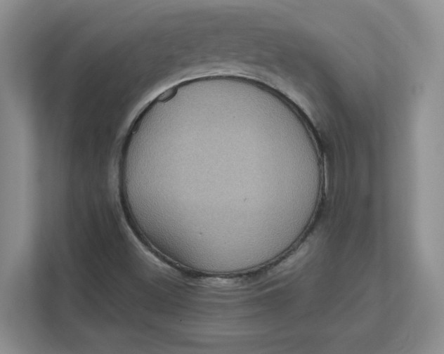 X0000111471500200908031349