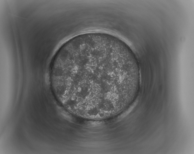 X0000111471501200908031349