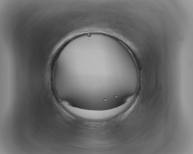 X0000111471502200908031349