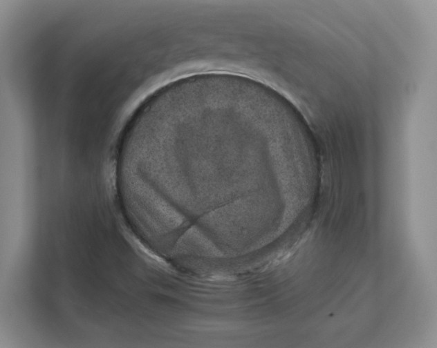 X0000111471503200908031349