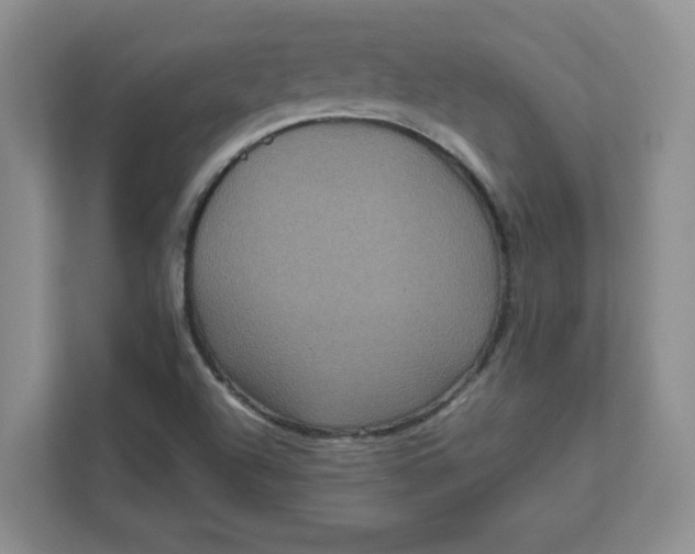 X0000111471504200908031349