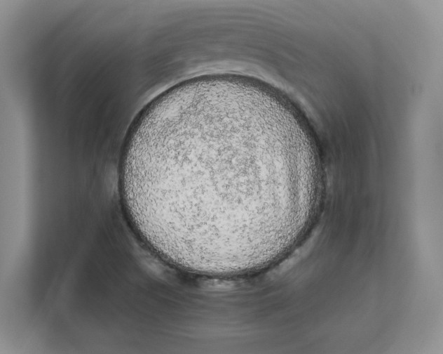 X0000111471505200908031349