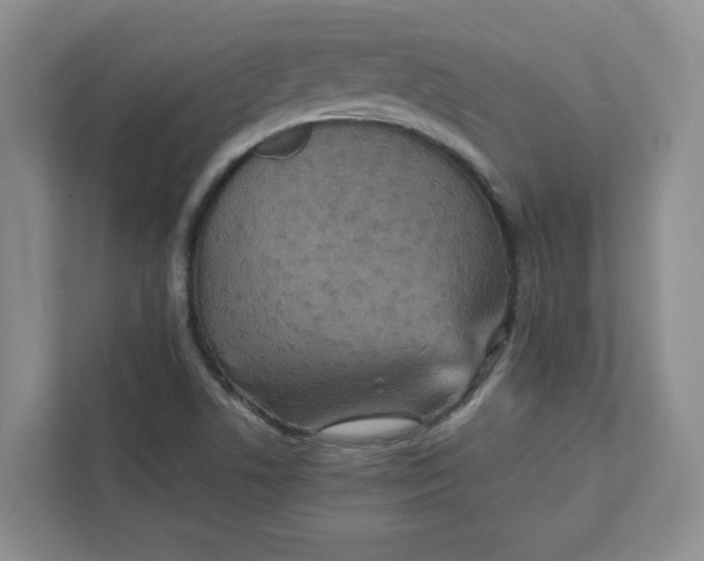 X0000111471506200908031349