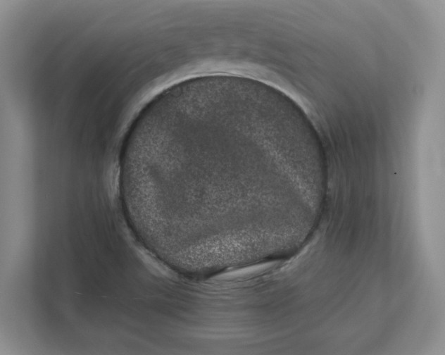 X0000111471507200908031349