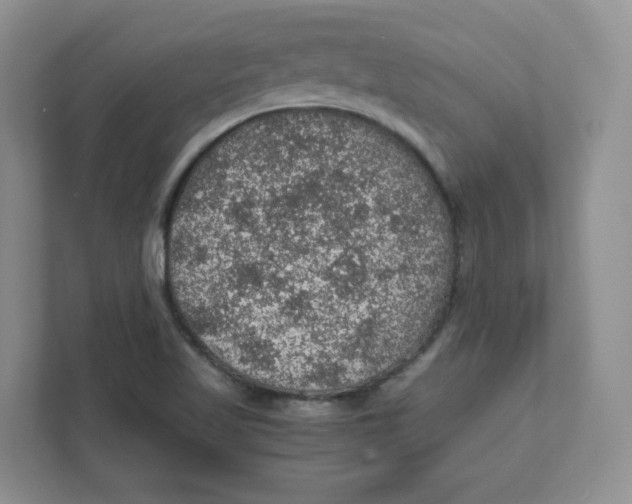 X0000111471509200908031349