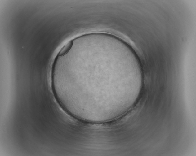 X0000111471512200908031349