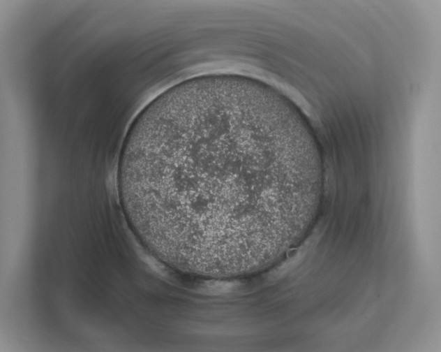 X0000111471513200908031349