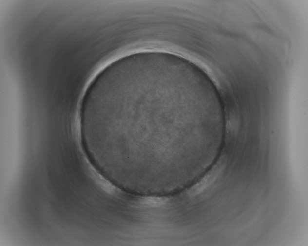 X0000111471514200908031349