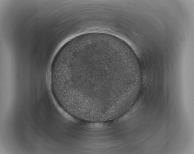 X0000111471515200908031349