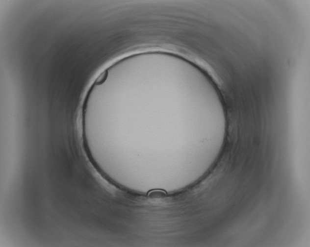 X0000111471516200908031349