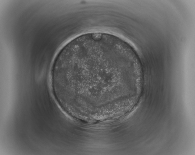 X0000111471517200908031349