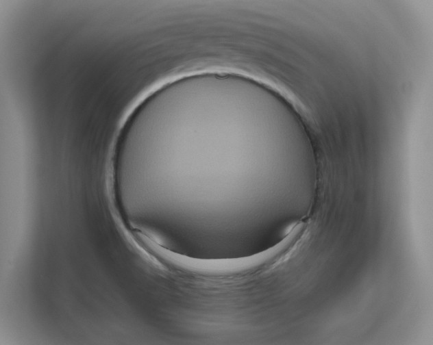 X0000111471518200908031349