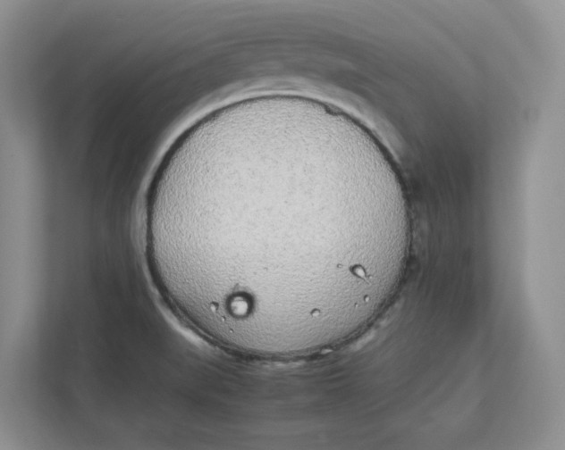 X0000111471519200908031349