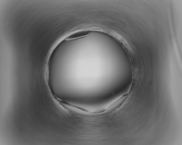 X0000111471520200908031349