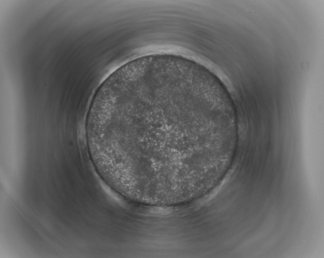 X0000111471521200908031349