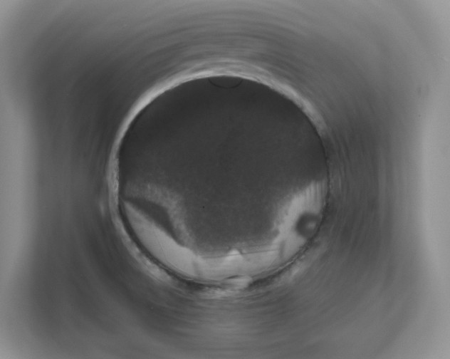 X0000111471522200908031349