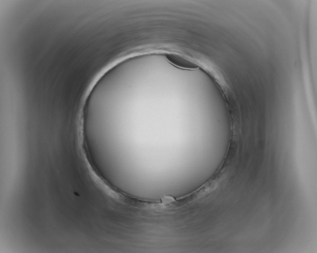 X0000111471524200908031349