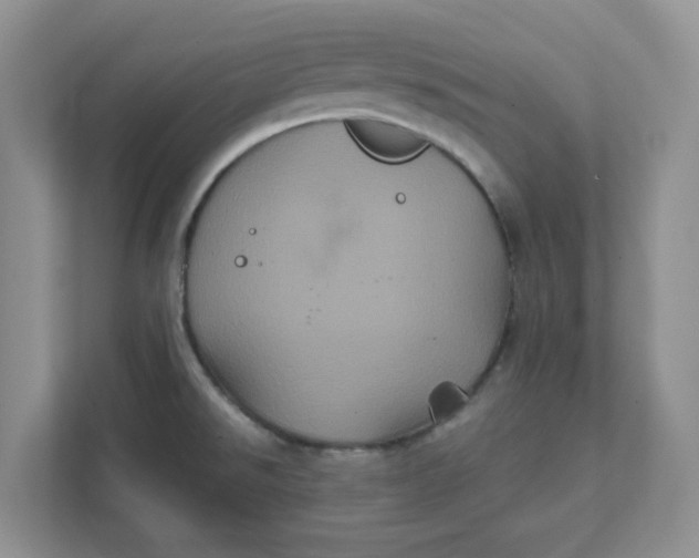 X0000111471526200908031349