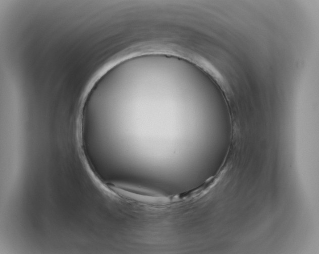 X0000111471528200908031349