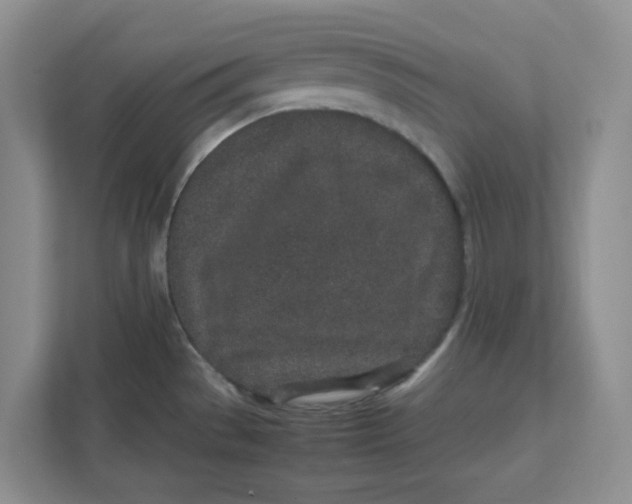 X0000111471529200908031349