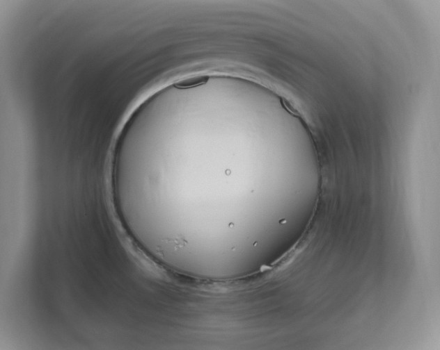 X0000111471530200908031349