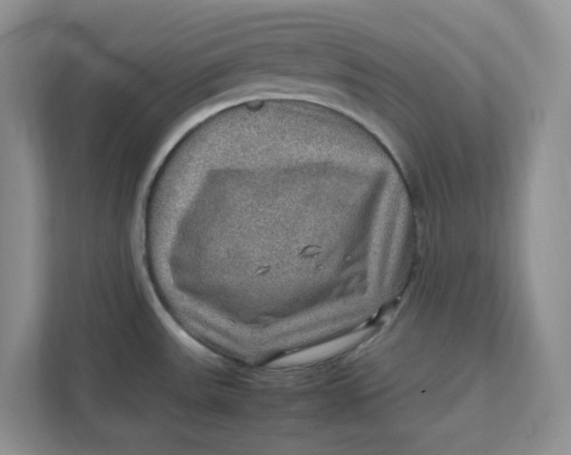 X0000111471531200908031350