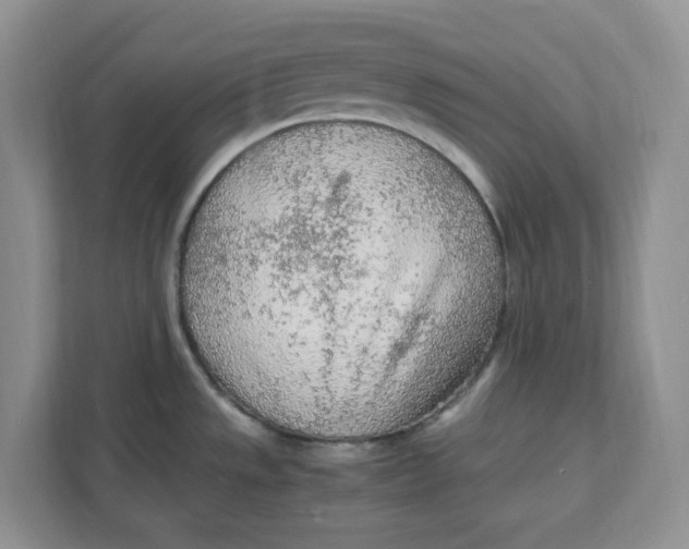 X0000111471533200908031350