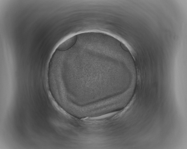 X0000111471534200908031350