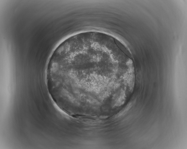 X0000111471535200908031350