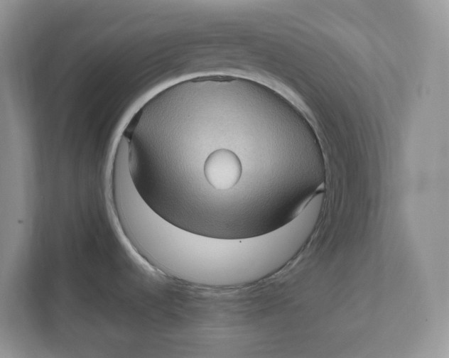 X0000111471536200908031350