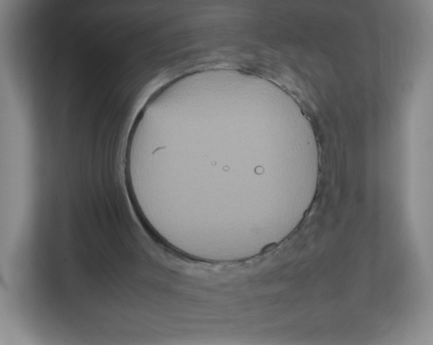 X0000111470003200908101124