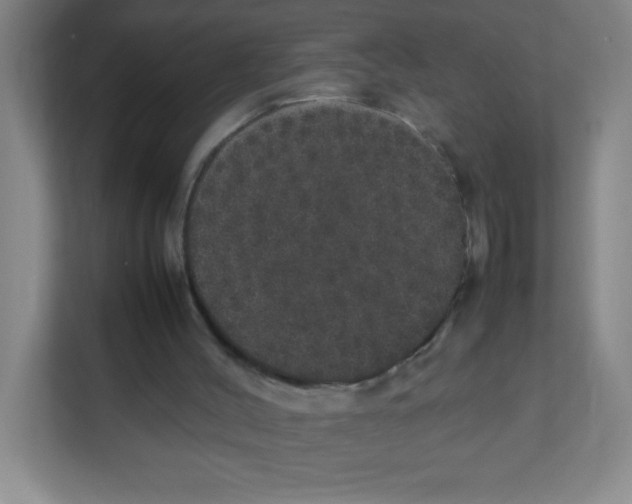 X0000111470004200908101124