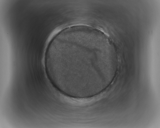 X0000111470006200908101124