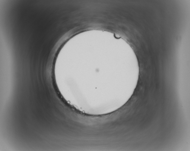 X0000111470007200908101124