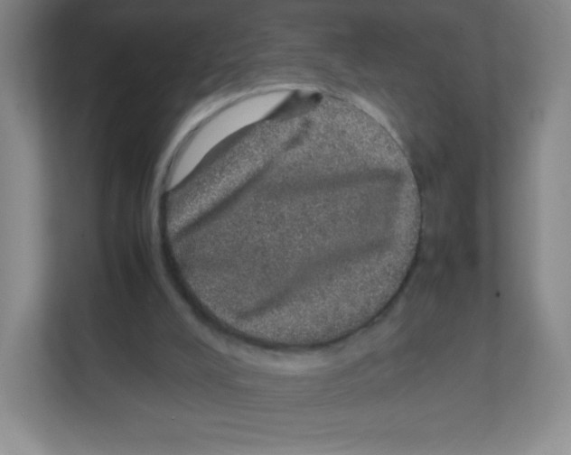 X0000111470008200908101124