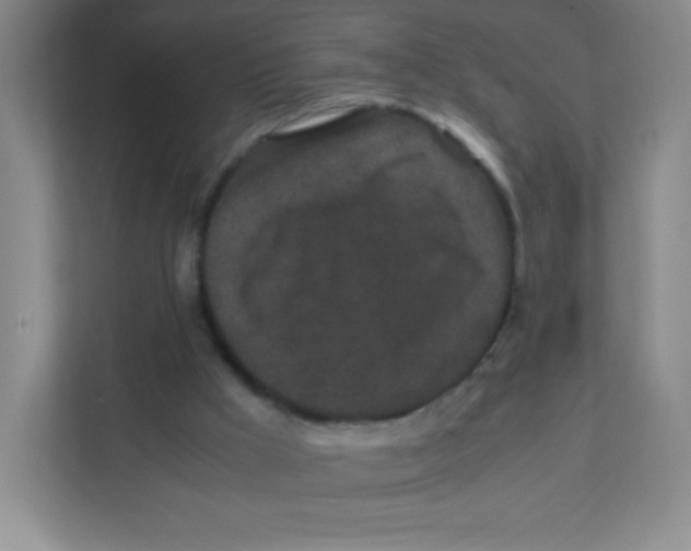 X0000111470009200908101124