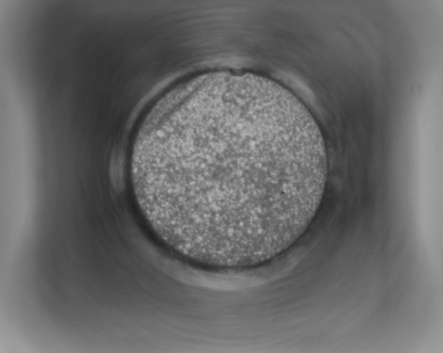 X0000111470012200908101124