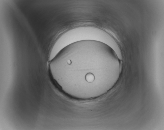 X0000111470013200908101124