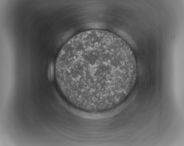 X0000111470014200908101124