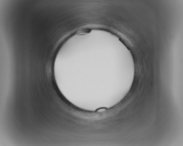 X0000111470015200908101124