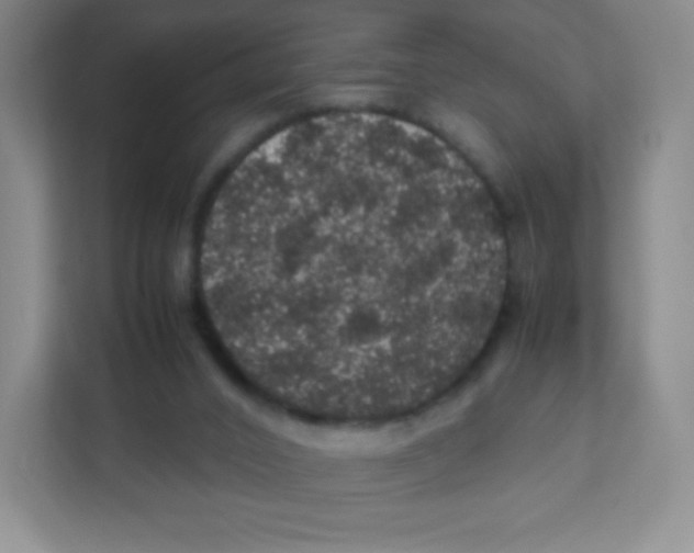 X0000111470016200908101124