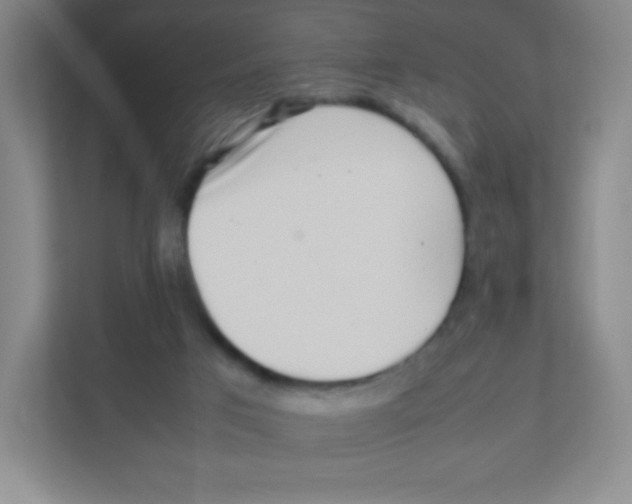 X0000111470017200908101124