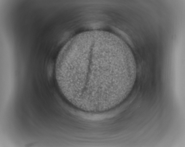 X0000111470018200908101124