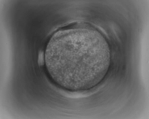 X0000111470020200908101124