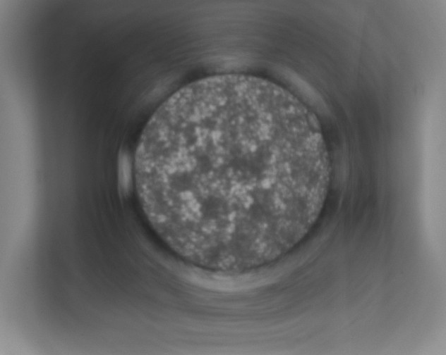 X0000111470022200908101124